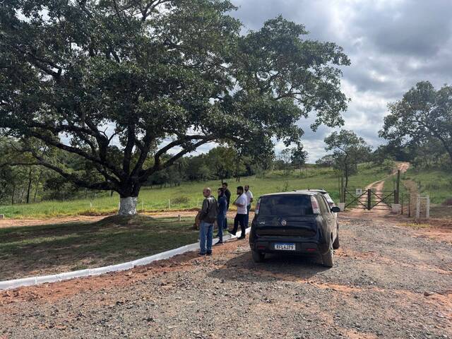 #256 - Fazenda para Venda em São Gonçalo do Pará - MG - 3