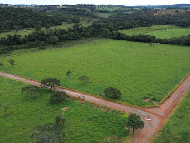 #256 - Fazenda para Venda em São Gonçalo do Pará - MG - 2