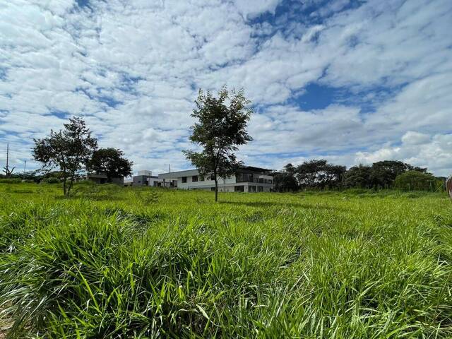 #261 - Área para Venda em Belo Horizonte - MG - 1