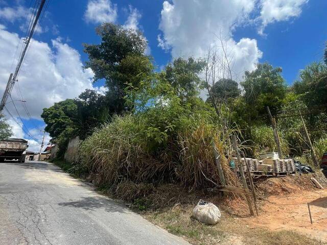 #288 - Terreno para Venda em Betim - MG - 3