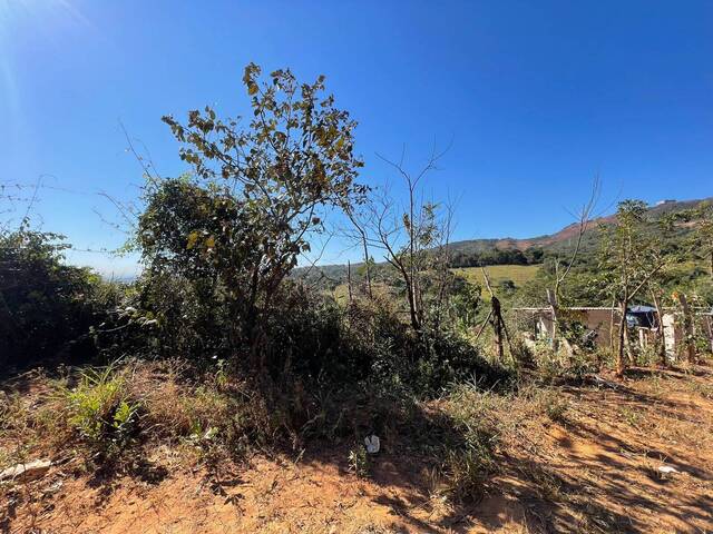 #298 - Área para Venda em Igarapé - MG - 3