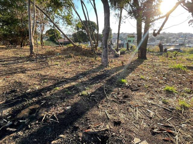 #313 - Área para Venda em Betim - MG - 1